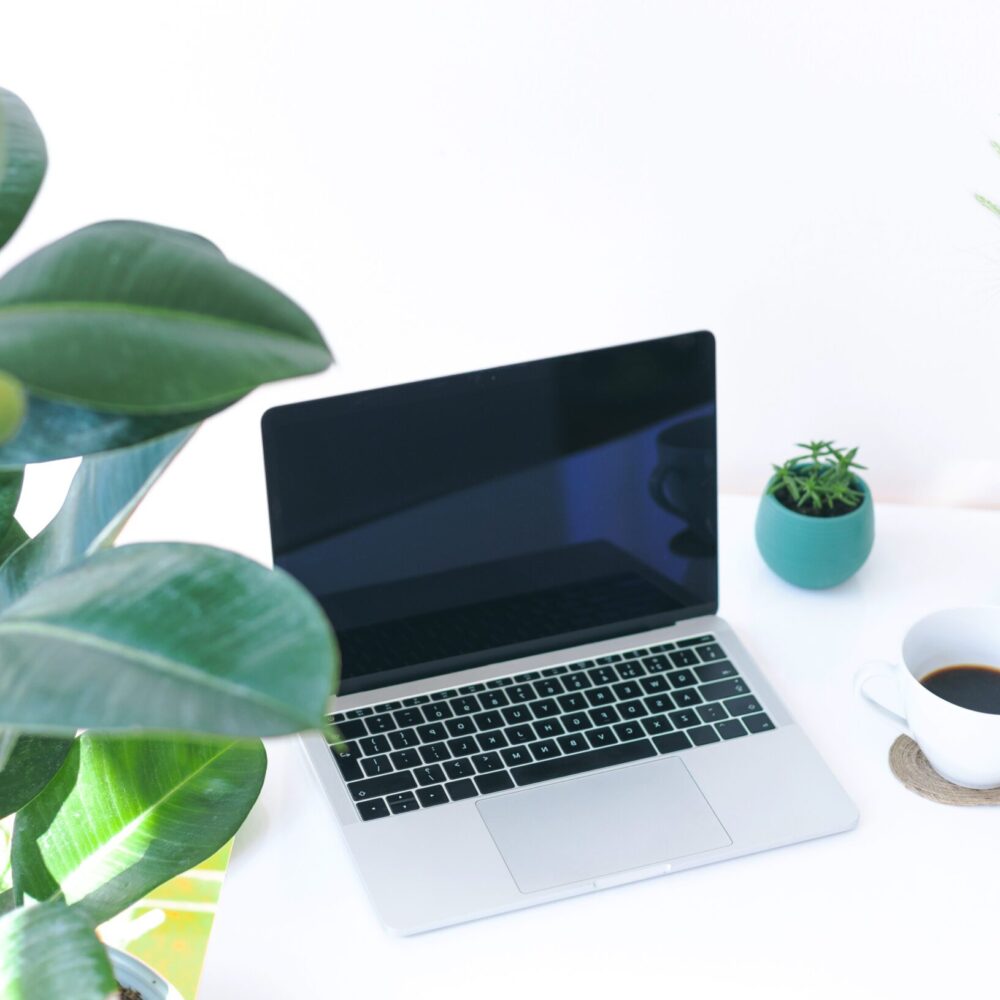 Freelancer workplace, laptop, coffee cup and potted plant on white table, modern office